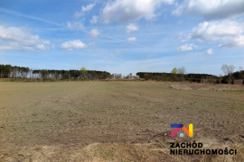 Działki budowlane 10 km od Torzymia